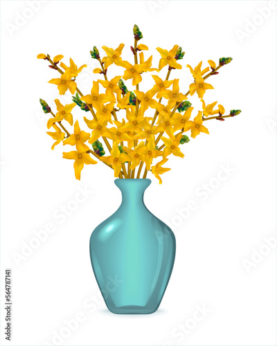 Blue glass vase full of fresh cut forsythia branches in the spring. Yellow forsythia flowers in a blue vase on a white background. Happy Women's Day. Spring blossoming forsythia