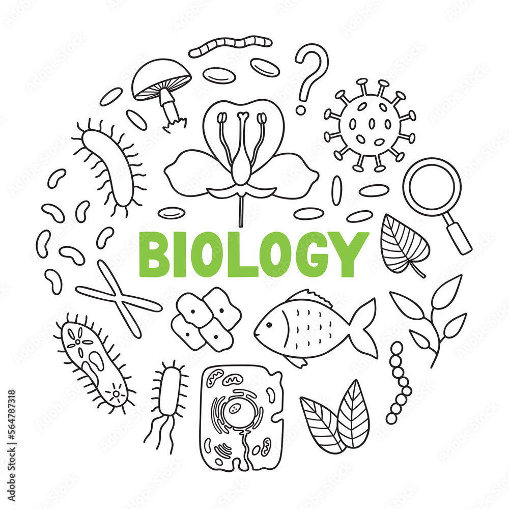 Biology doodle set. Education and study concept. School equipment, viruses, bacteria in sketch style. Hand drawn vector illustration isolated on white background Biology doodle set. Education and study concept. School equipment, viruses, bacteria in sketch style. Hand drawn vector illustration isolated on white background