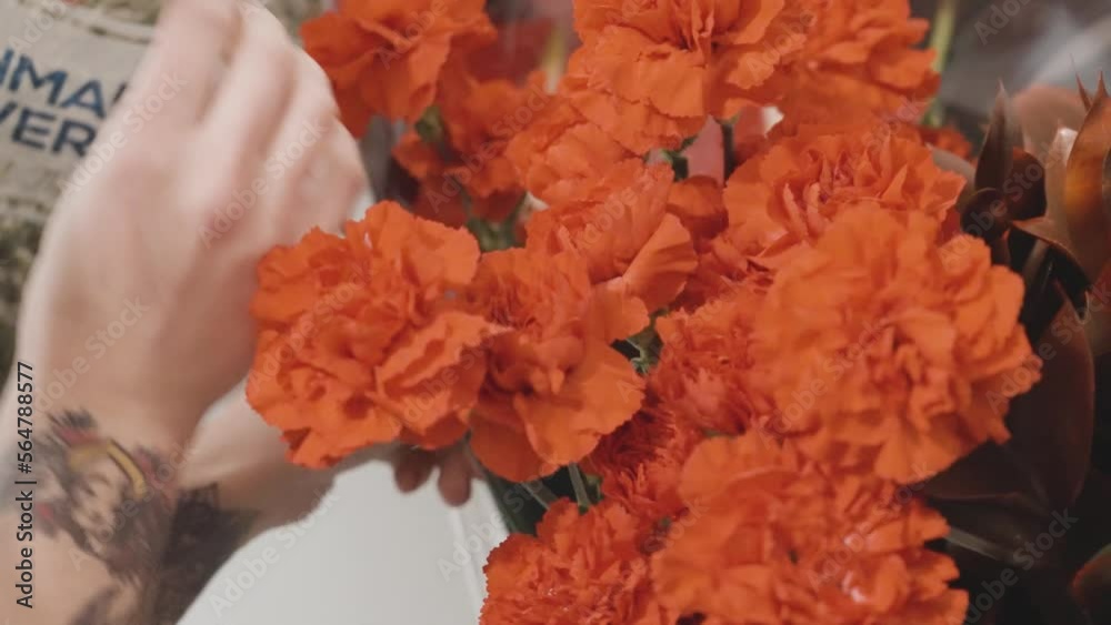 Red Carnations being processed by a Florist for Valentine's Day. Red Carnations being processed by a Florist for Valentine's Day.