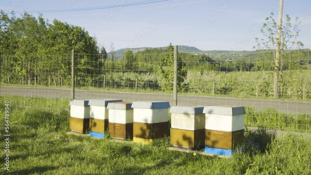 Row Of Beehive Apiary Boxes Beside Garden Wire Fence Row Of Beehive Apiary Boxes Beside Garden Wire Fence