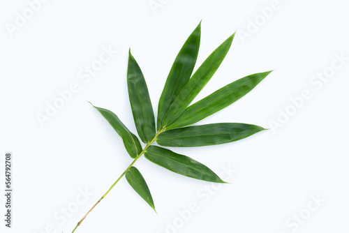 Bamboo leaf. Fresh green leaves on white background.