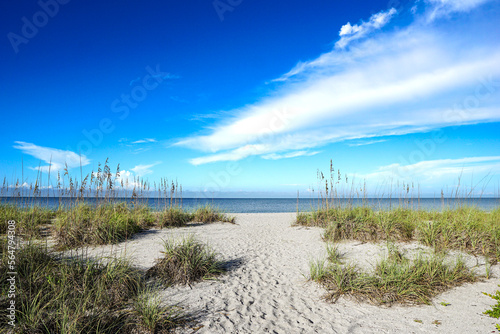 sand dunes and grass on the beach