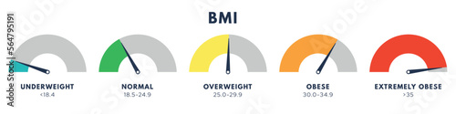 Body Mass Index or mass index scale. Types of BMI.Weight loss concept. Vector isolated illustration photo
