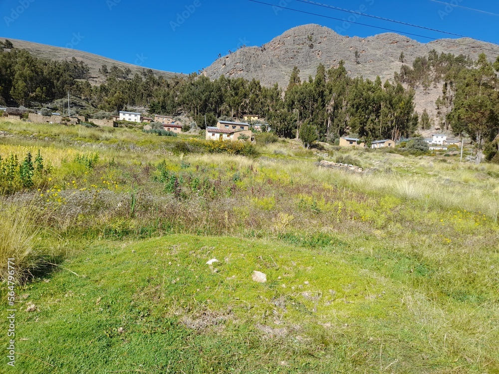 campo rural bolivia