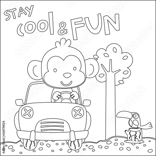 Vector illustration of funy monkey driving the white car. Childish design for kids activity colouring book or page.