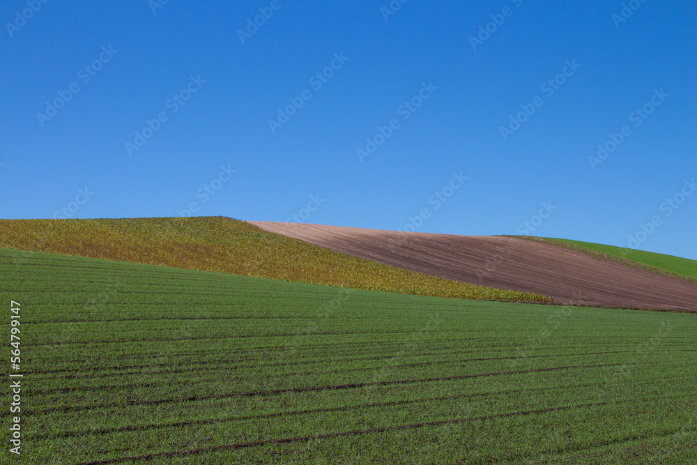 Bright green autumn field and clear blue sky