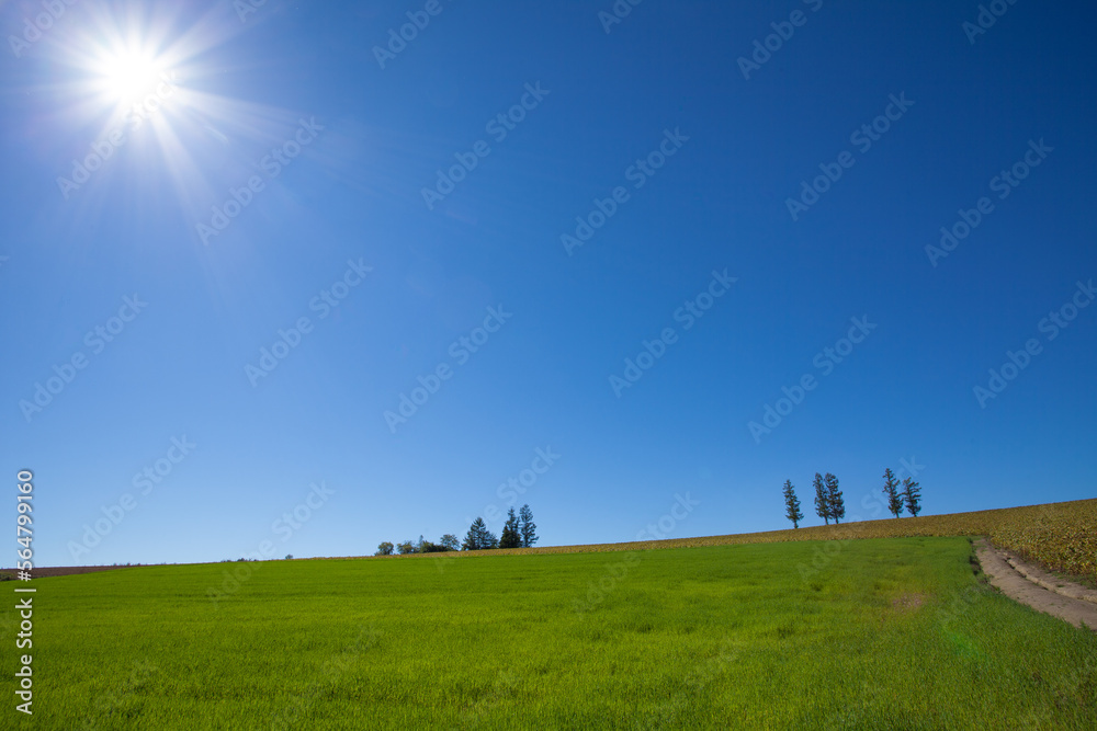 Bright green autumn field and clear blue sky Bright green autumn field and clear blue sky