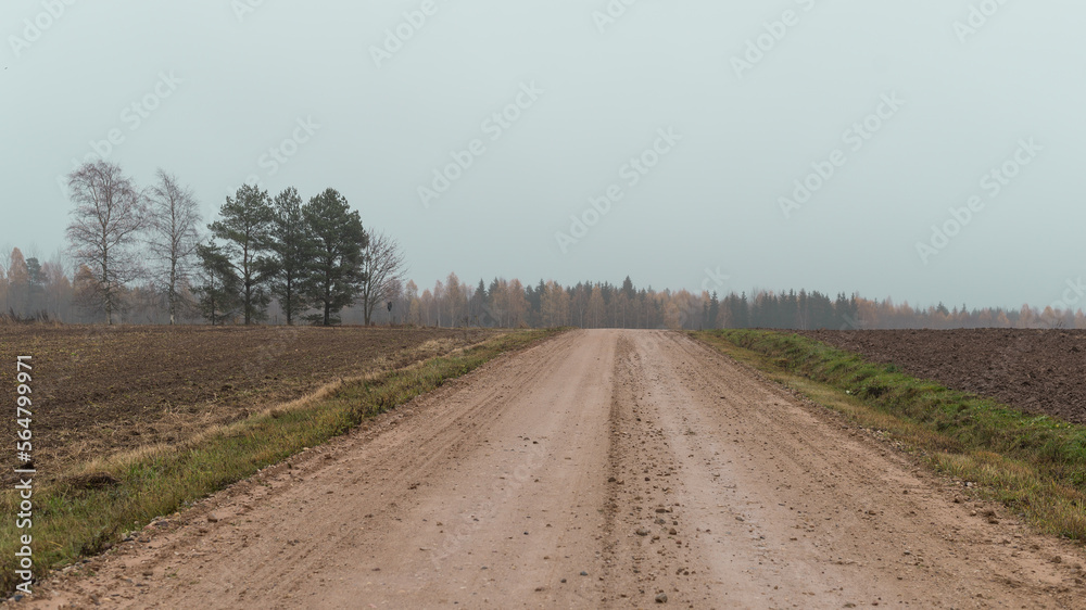 Moody country road with arable land on both sides, a few trees and forest in the background