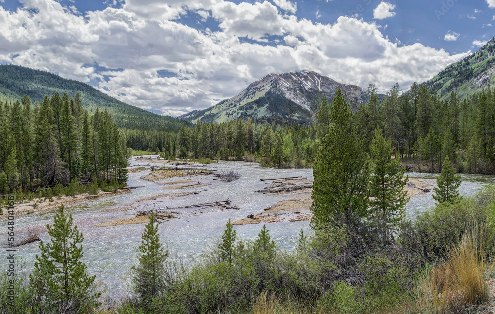 Fototapeta premium Colorado Mountain River in June: The last of the winter snow melts in early June and flows into a river near Independence Pass in central Colorado.
