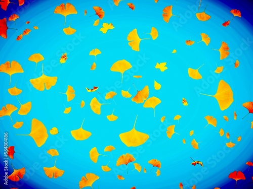 background with colorful yellow leaves 