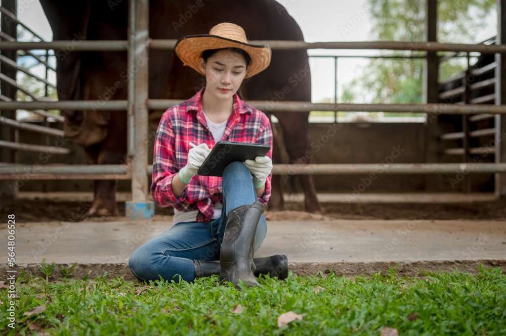 A beautiful female employee while working in the cattle semen production center of Kampu Farm, Pho Chai District, Roi Et Province.