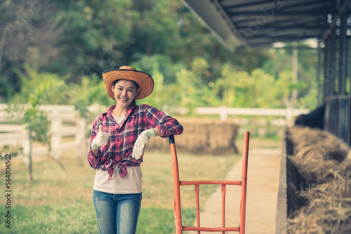 A beautiful female employee while working in the cattle semen production center of Kampu Farm, Pho Chai District, Roi Et Province. photo