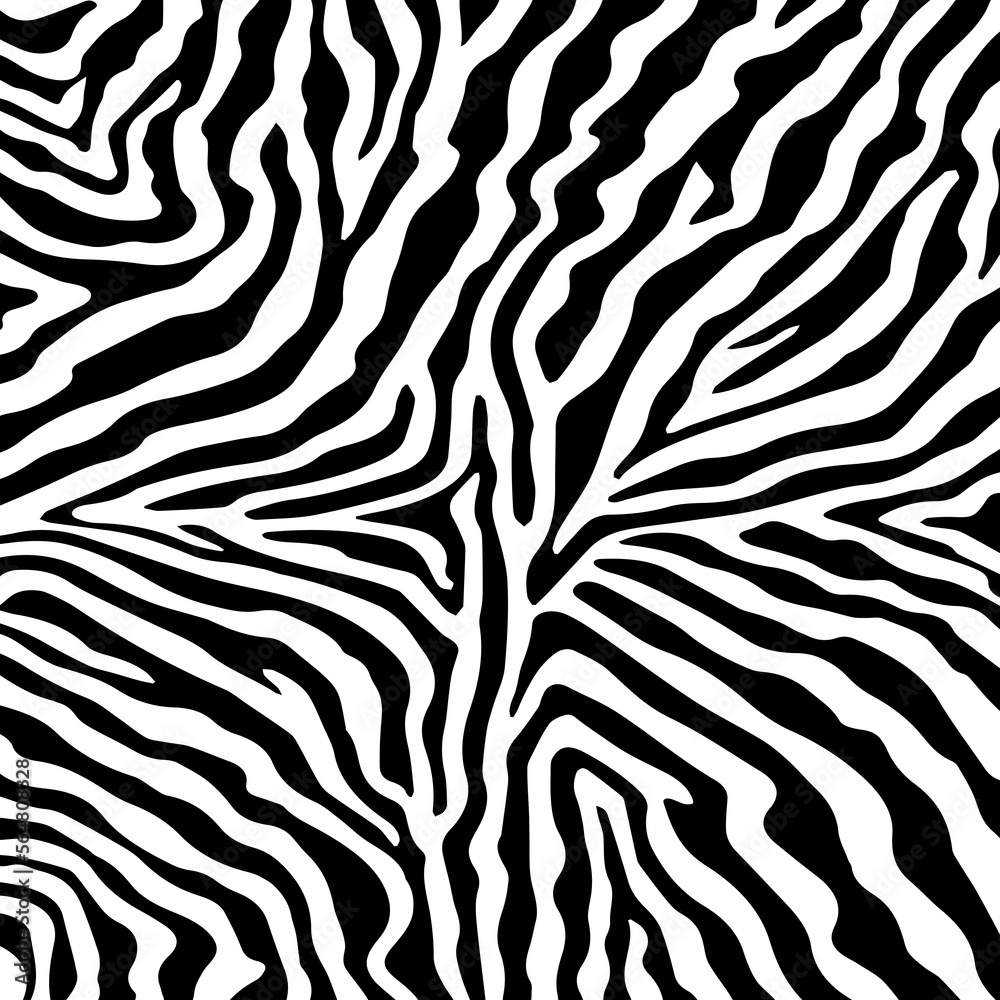 Illustration zebra fur, zebra skin. Illustration zebra fur, zebra skin.