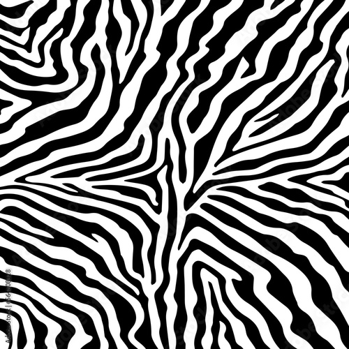 Illustration zebra fur  zebra skin.