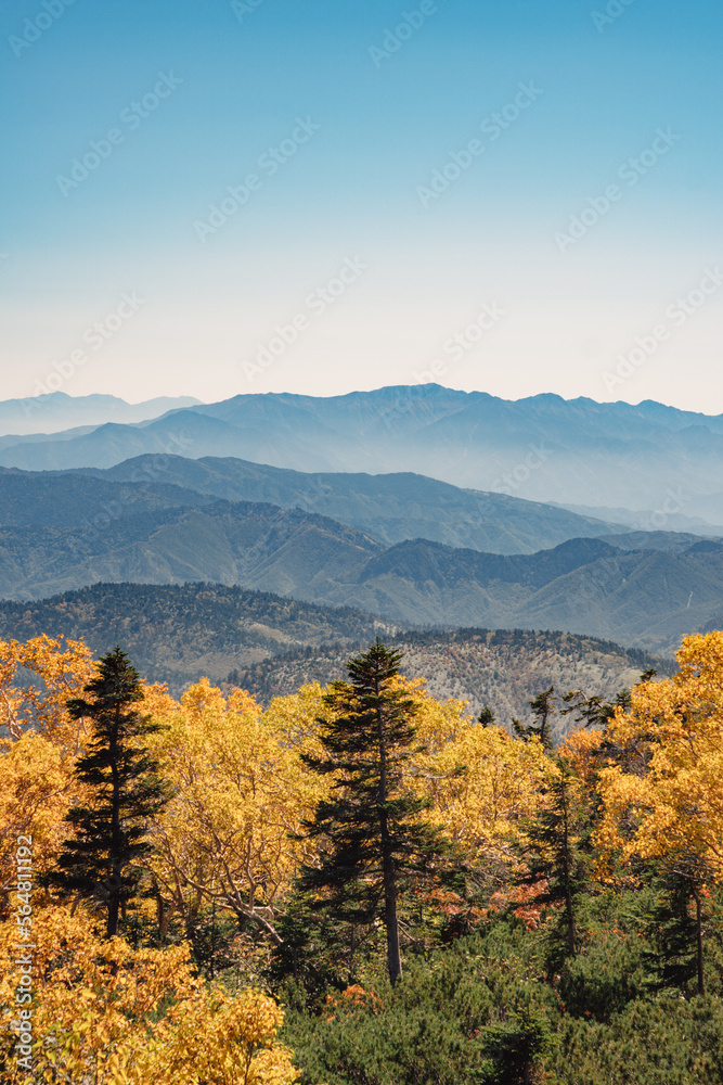 Snowy mountains with trees Snowy mountains with trees
