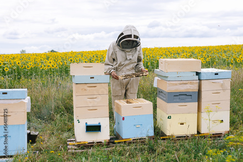 Beekeeper job apiary inspect photo
