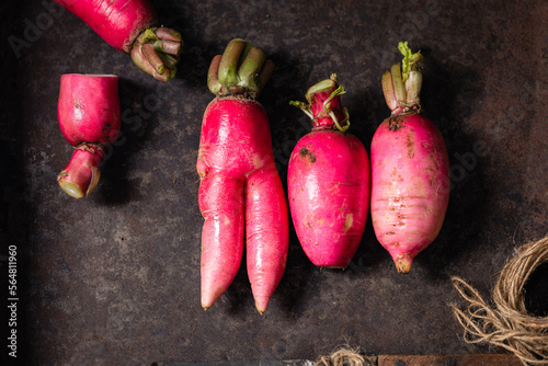 Still life with Red Radish photo