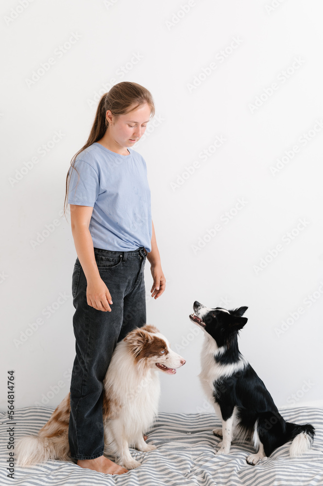 Woman training dogs on mattress Woman training dogs on mattress