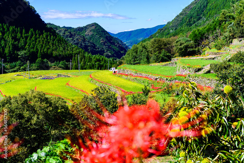 番所の棚田
Bansho Terraced Rice Fields
　【彼岸花の名所、菊鹿町の番所地区にある美しい棚田「日本棚田百選」にも選出されている観光名所】
[A tourist attraction that has been selected as one of the 100 best terraced rice fields in Japan]
日本
九州・熊本県山鹿市菊鹿町 photo