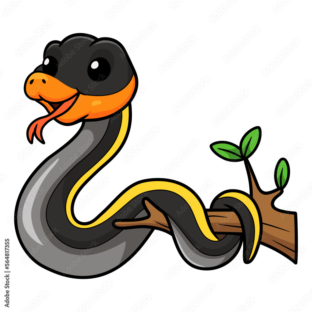Fototapeta premium Cute black copper rat snake cartoon