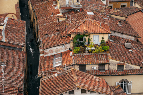 Street and rooftops in Lucca