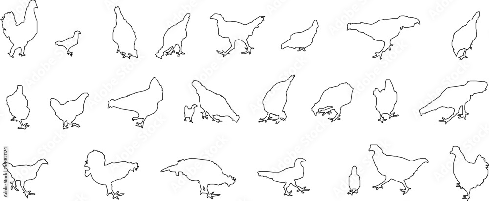 Obraz premium sketch vector illustration of the silhouette of a chicken and its chicks