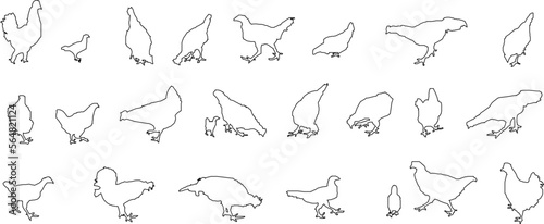sketch vector illustration of the silhouette of a chicken and its chicks
