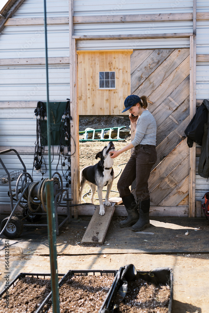 business owner standing with dog inside greenhouse having a phone call business owner standing with dog inside greenhouse having a phone call