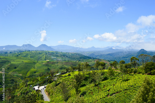 Cukul Sunrise Point  Bandung  Indonesia - August 08  2022  Views Of The Tea Gardens At Pangalengan. With Selected Focus.