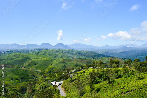 Cukul Sunrise Point, Bandung, Indonesia - August 08, 2022: Views Of The Tea Gardens At Pangalengan. With Selected Focus. photo
