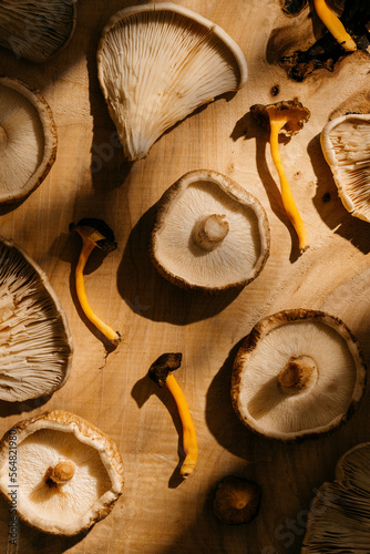 Assorted mushrooms on wooden table photo