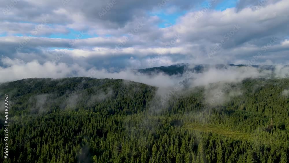 mountains flying drone fog haze clouds movement coniferous forest mountains flying drone fog haze clouds movement coniferous forest