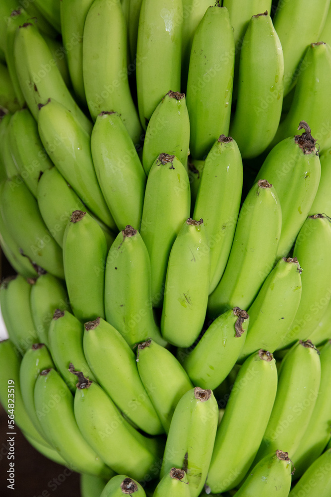 Bananas Bananas