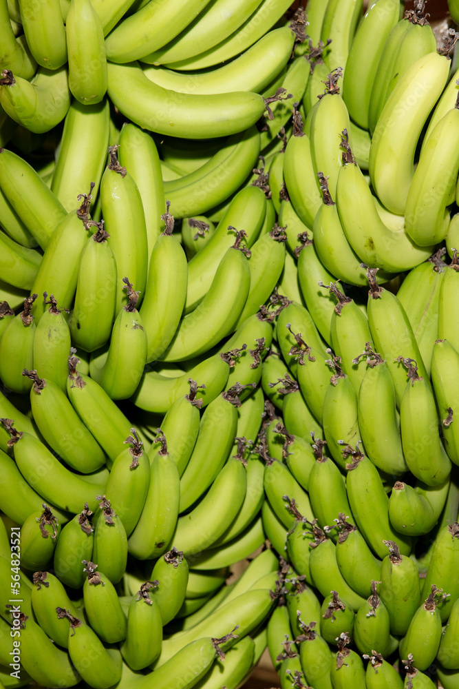 Big branches of bananas Big branches of bananas
