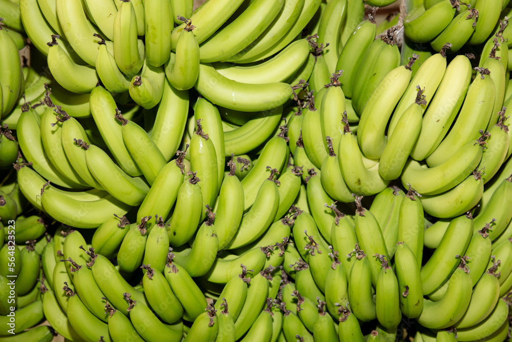 Big branches of bananas Big branches of bananas