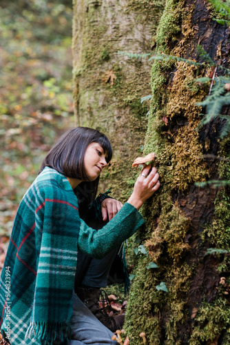 Girl Removing Mushrooms From Tree Trunk