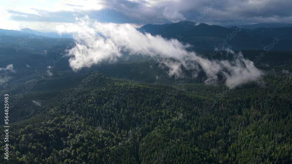 mountains flying drone fog haze clouds movement coniferous forest mountains flying drone fog haze clouds movement coniferous forest