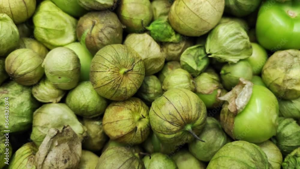 Group of green tomatoes, originally from Mexico and very traditional in the region Group of green tomatoes, originally from Mexico and very traditional in the region
