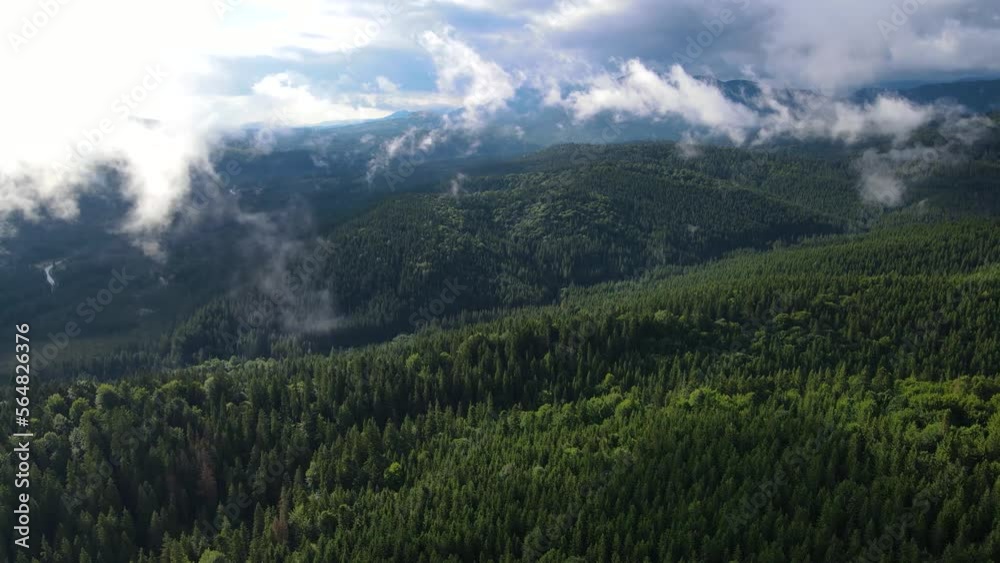 mountains flying drone fog haze clouds movement coniferous forest mountains flying drone fog haze clouds movement coniferous forest