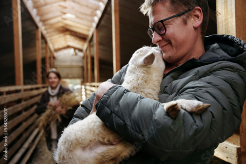 Two farmers are standing in a stable on a farm with a sheep in t photo
