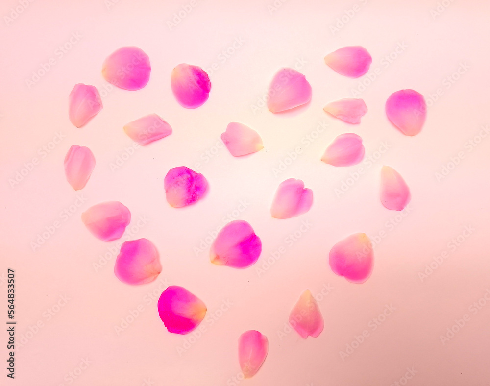 pink hearts background. Heart shape made with pink rose petals.