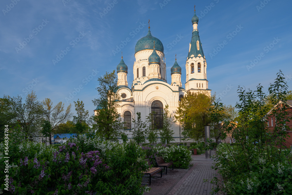 View of the Cathedral of the Intercession of the Most Holy Theotokos on a sunny summer day, Gatchina, Leningrad region, Russia