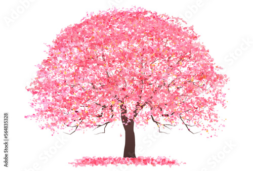 桜　春　木　アイコン