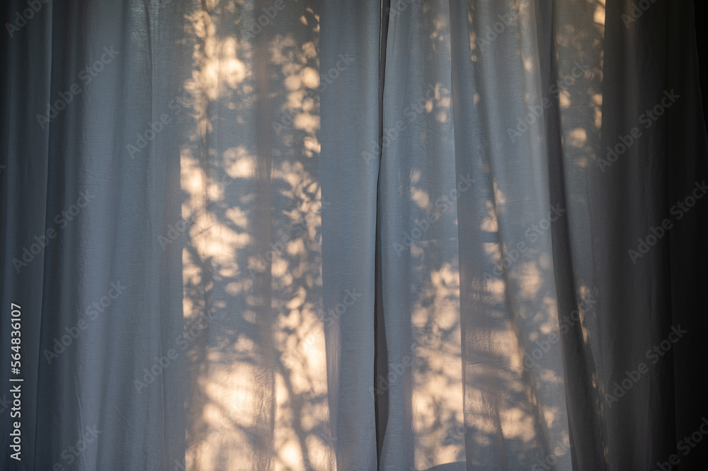 Plant shadows background on the curtains in the window Plant shadows background on the curtains in the window