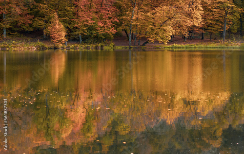 Autumn lake scenery