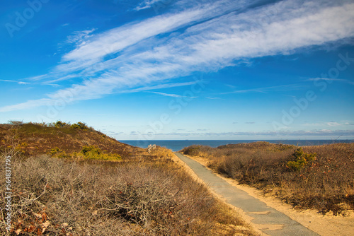 Under a partly sunny blue sky on a snowless Winter day, a trail passes through grassy sand dunes toward an ocean horizon on Cape Cod, MA,