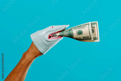 shark biting some dollar banknotes photo