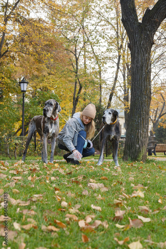 Woman with dogs picking crap from ground