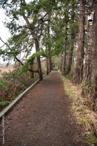A trail in the George C. Reifel Migratory Bird Sanctuary.  Delta BC Canada
