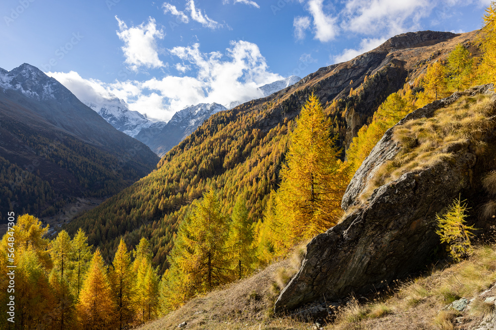 Swiss alpine landscape showing autumn colors